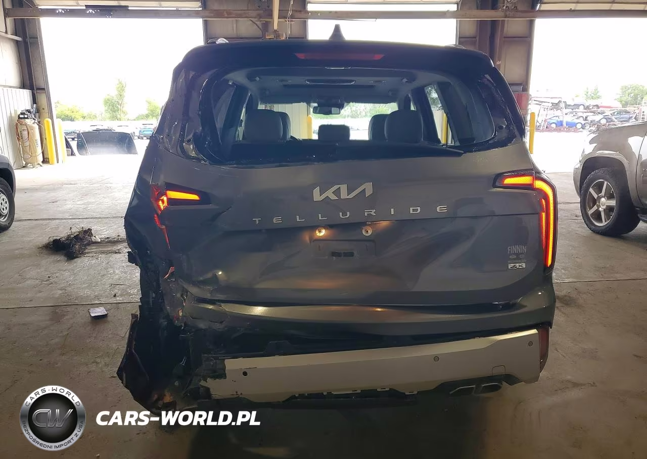 2024 Kia Telluride Ex VIN:5XYP3DGC1RG489447 - 6
