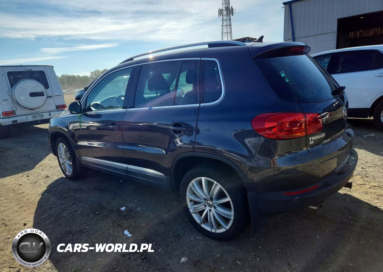 2016 Volkswagen Tiguan S VIN:WVGBV7AX8GW607815 - 2