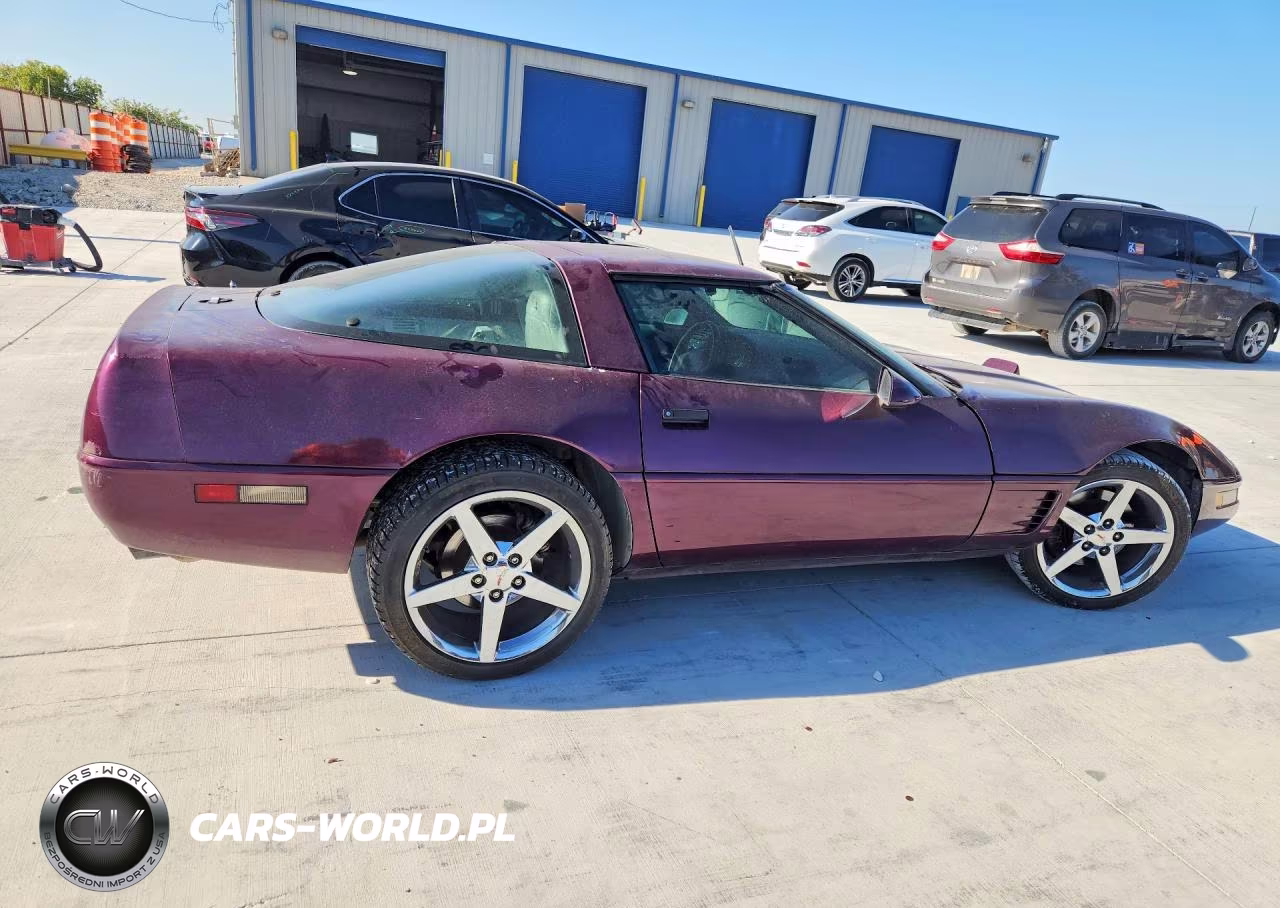 1995 Chevrolet Corvette VIN:1G1YY22P4S5106368 - 3
