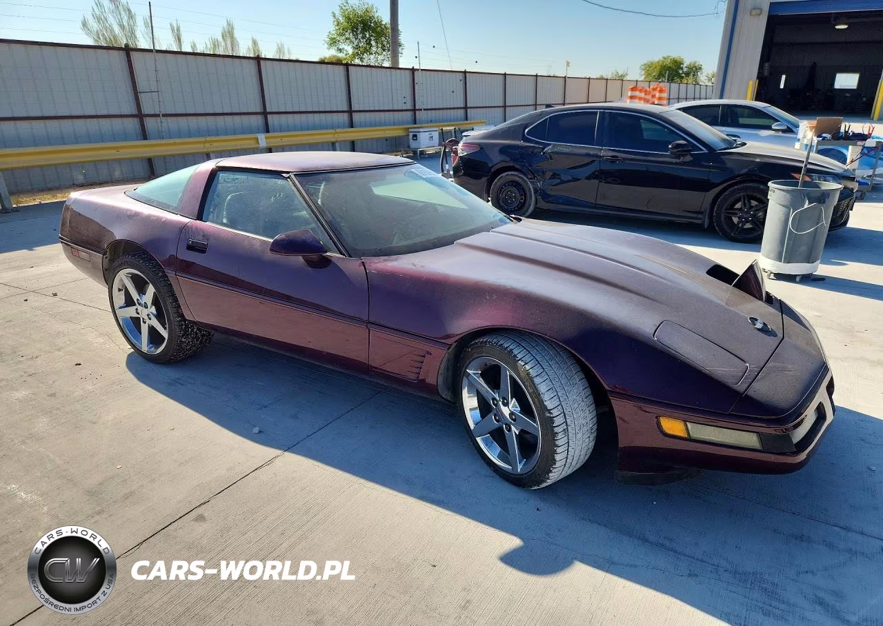 1995 Chevrolet Corvette VIN:1G1YY22P4S5106368 - 4