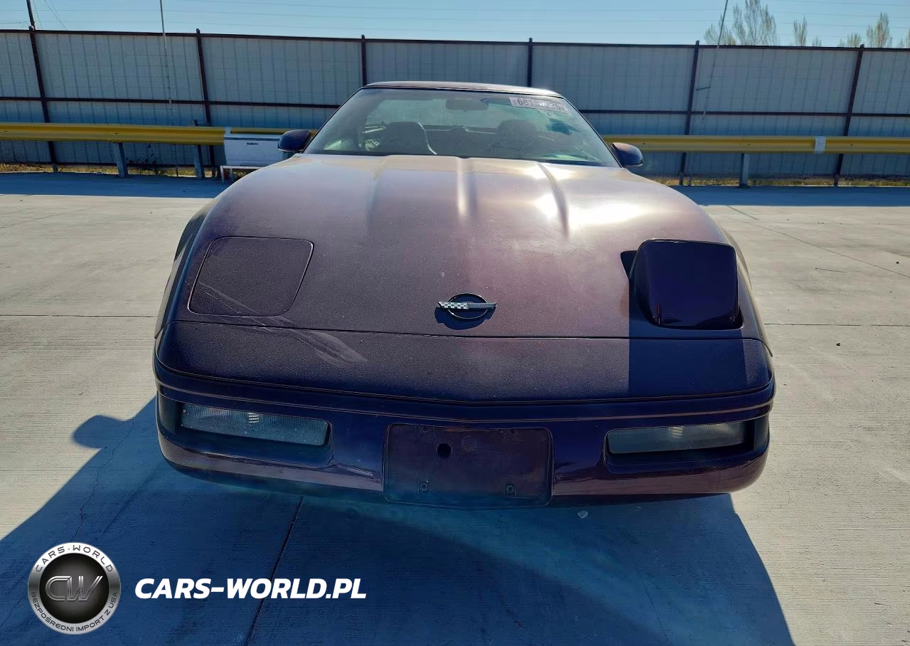 1995 Chevrolet Corvette VIN:1G1YY22P4S5106368 - 5