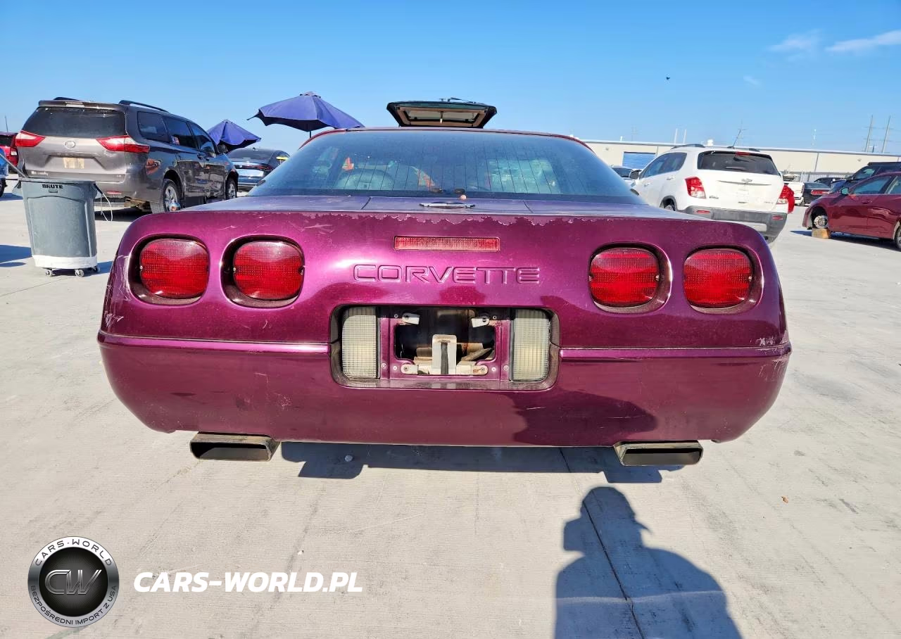 1995 Chevrolet Corvette VIN:1G1YY22P4S5106368 - 6
