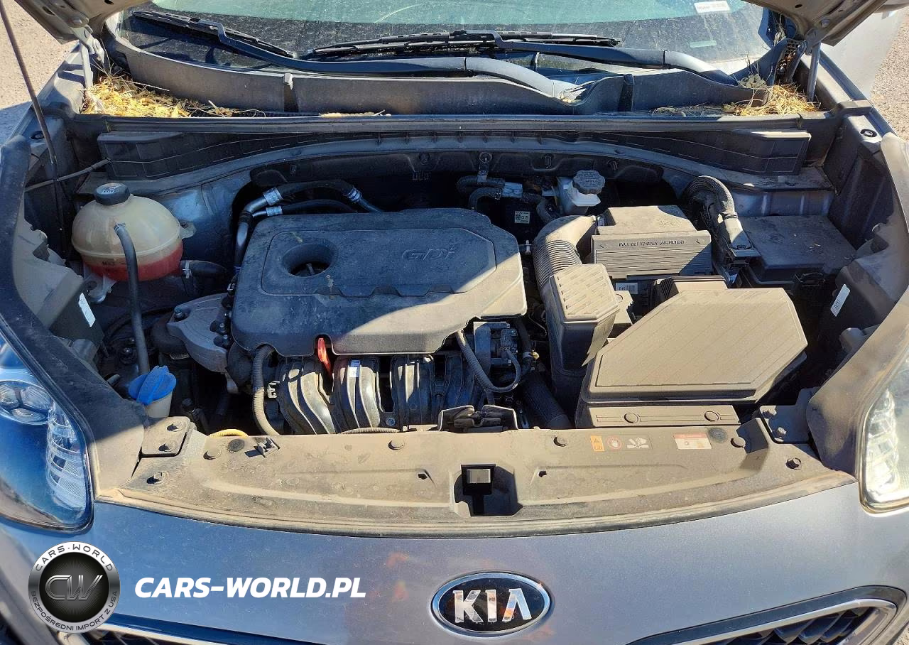 2021 Kia Sportage Lx VIN:KNDPM3AC5M7922094 - 12