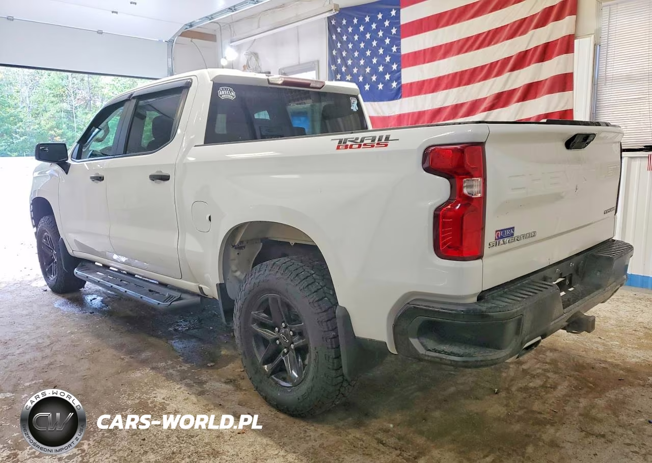 2019 Chevrolet Silverado K1500 Trail Boss Custom VIN:3GCPYCEF8KG101999 - 2