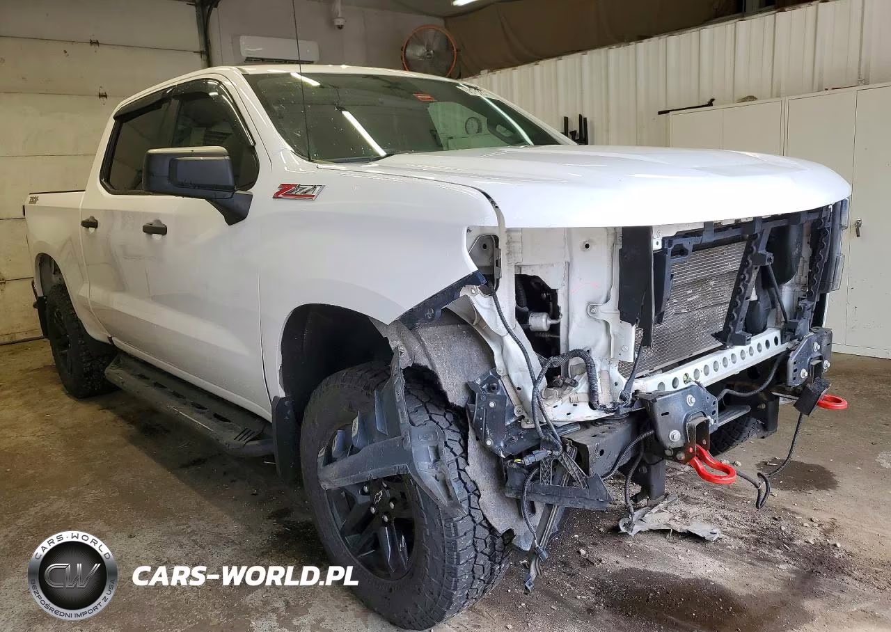 2019 Chevrolet Silverado K1500 Trail Boss Custom VIN:3GCPYCEF8KG101999 - 4