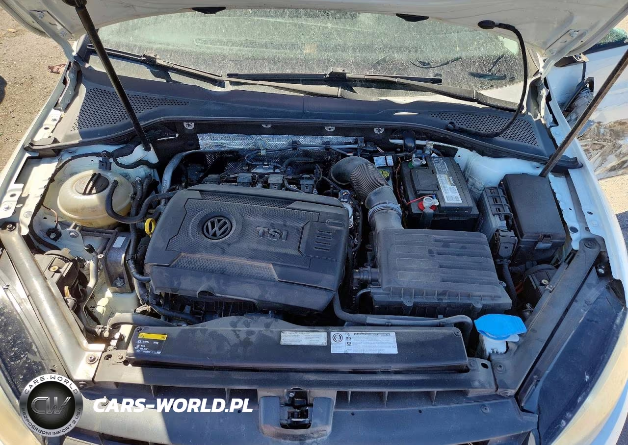 2015 Volkswagen Golf VIN:3VW217AU1FM010359 - 11