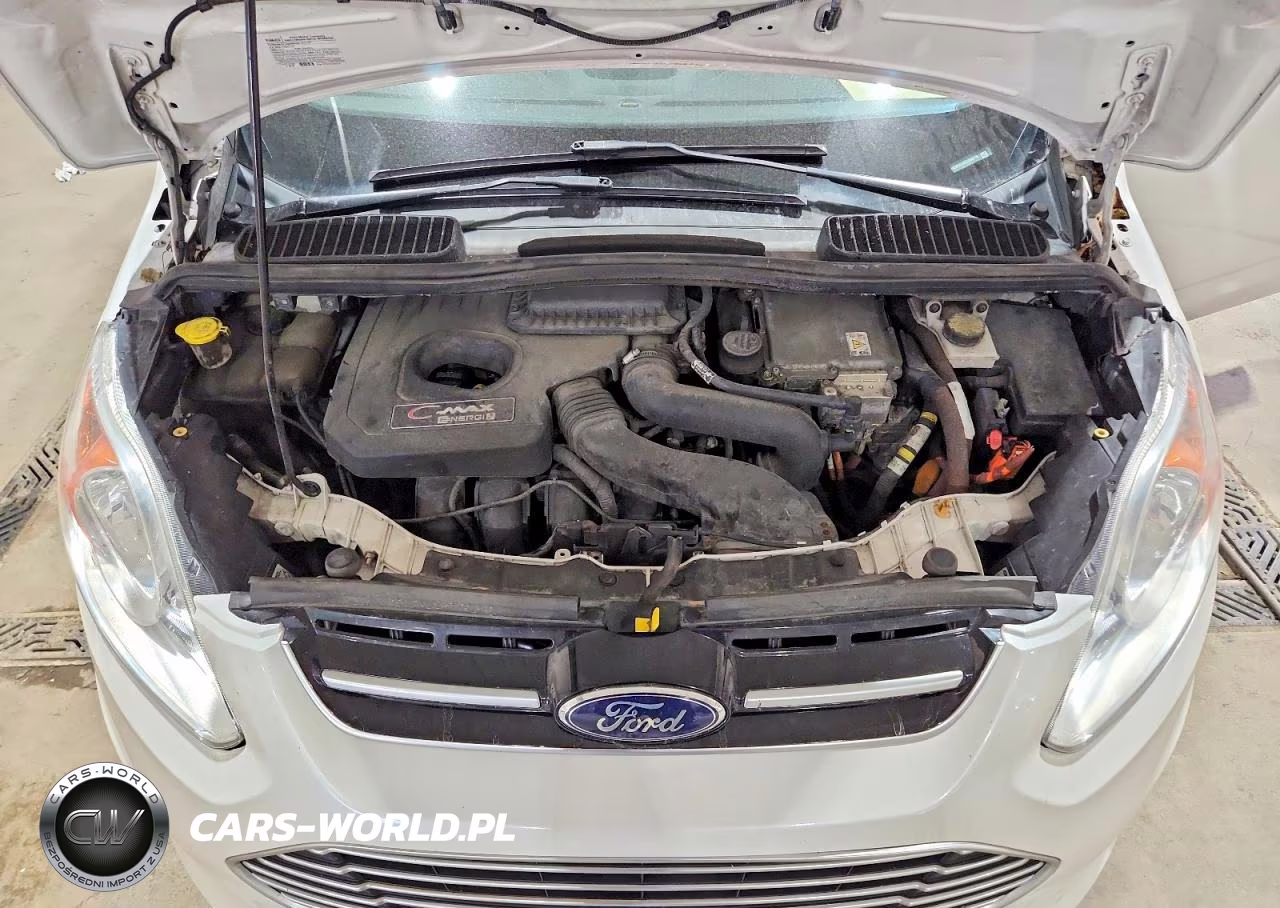 2014 Ford C-Max Premium VIN:1FADP5CU8EL504719 - 11