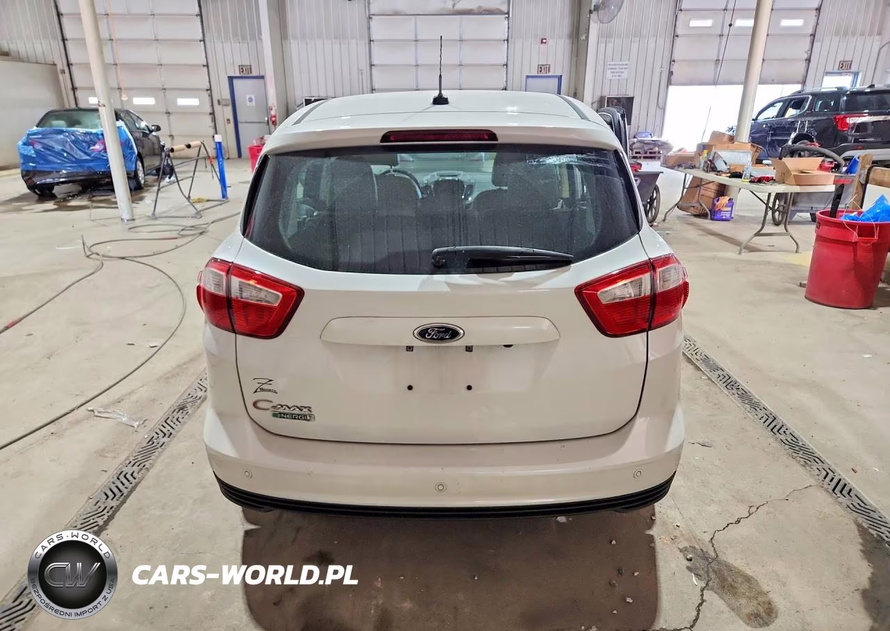 2014 Ford C-Max Premium VIN:1FADP5CU8EL504719 - 6