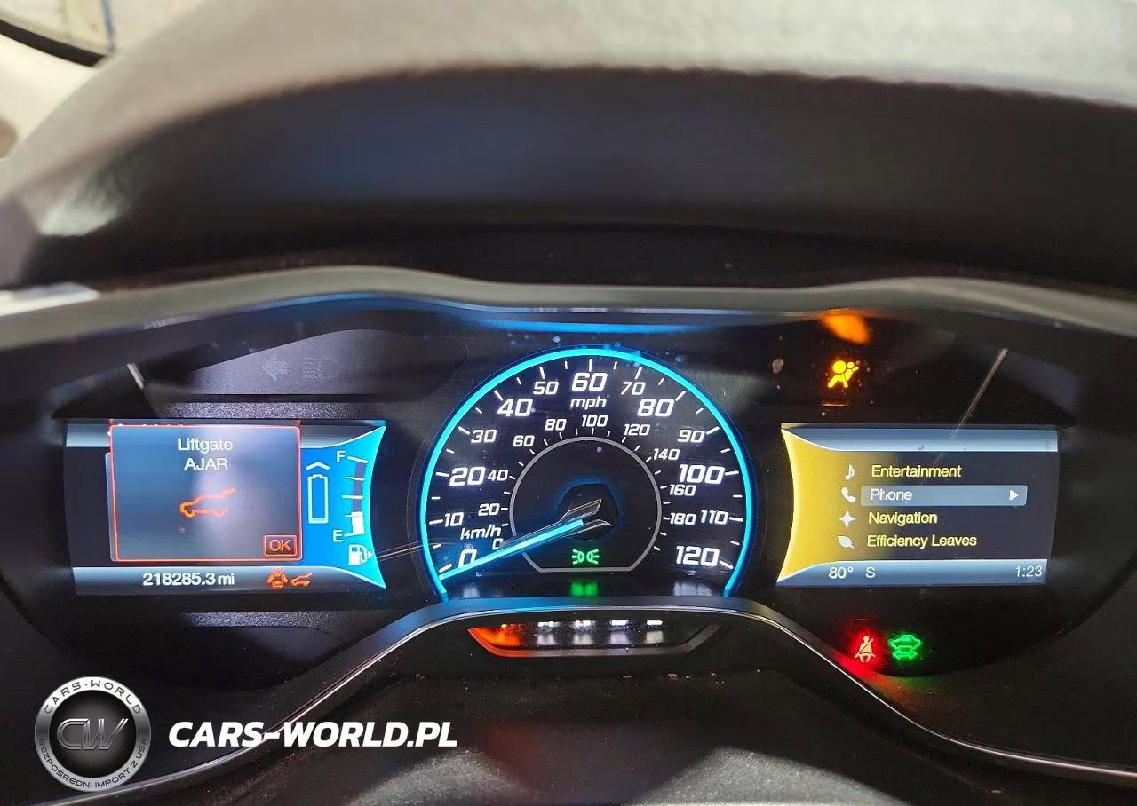 2014 Ford C-Max Premium VIN:1FADP5CU8EL504719 - 9
