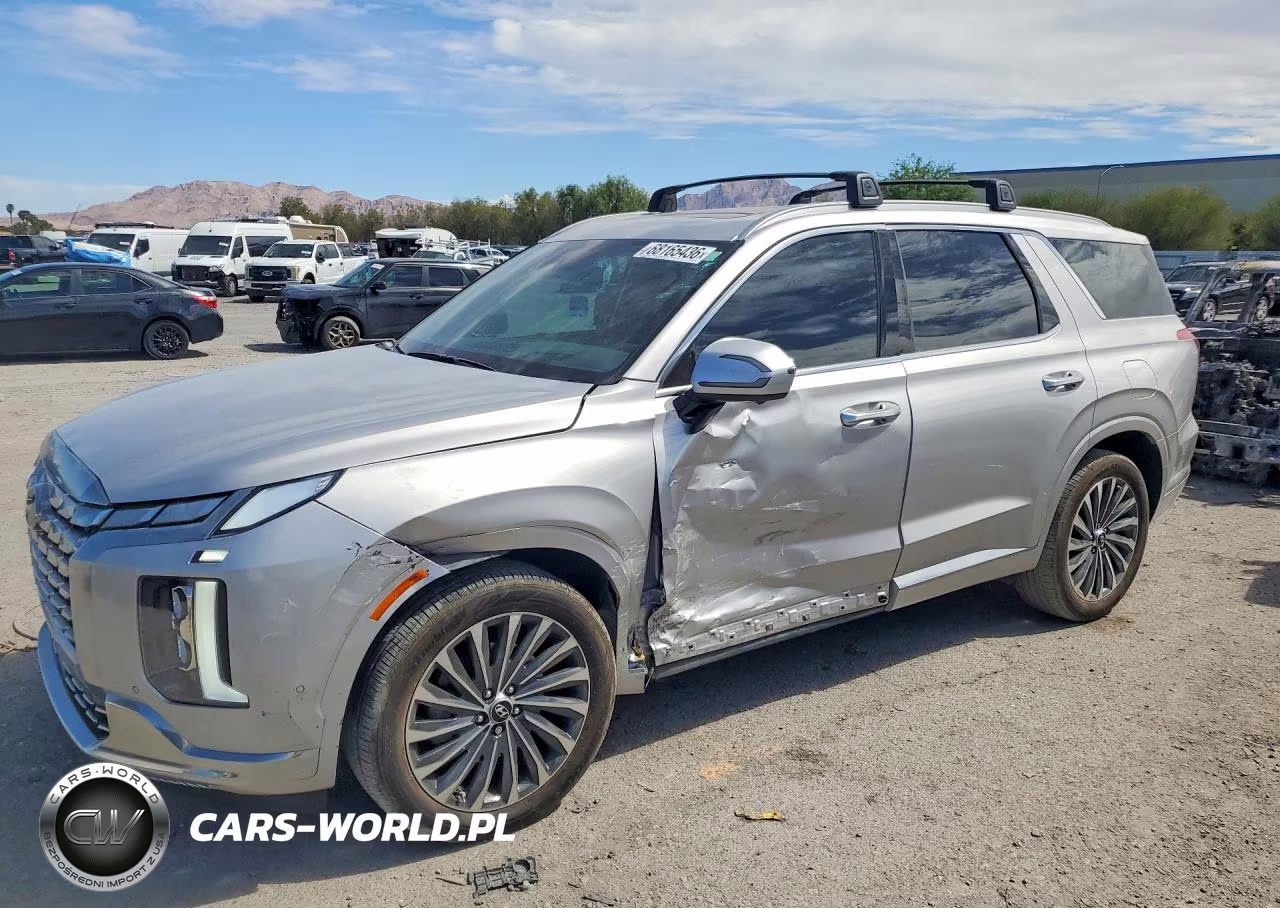 2025 Hyundai Palisade Calligraphy VIN:KM8R7DGE4SU913928 - 1