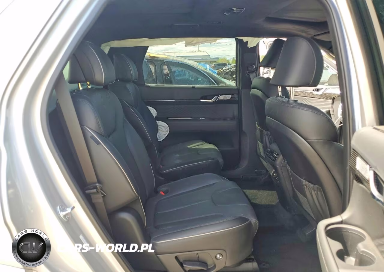 2025 Hyundai Palisade Calligraphy VIN:KM8R7DGE4SU913928 - 11