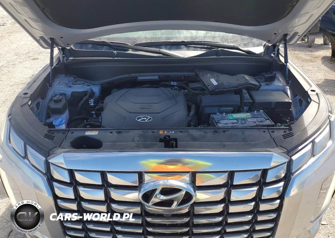 2025 Hyundai Palisade Calligraphy VIN:KM8R7DGE4SU913928 - 12