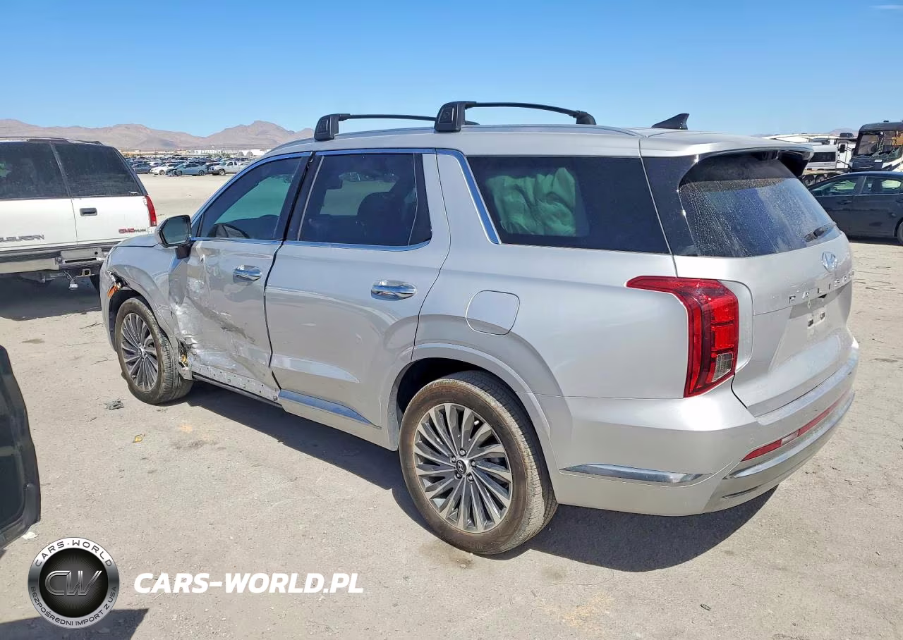 2025 Hyundai Palisade Calligraphy VIN:KM8R7DGE4SU913928 - 2