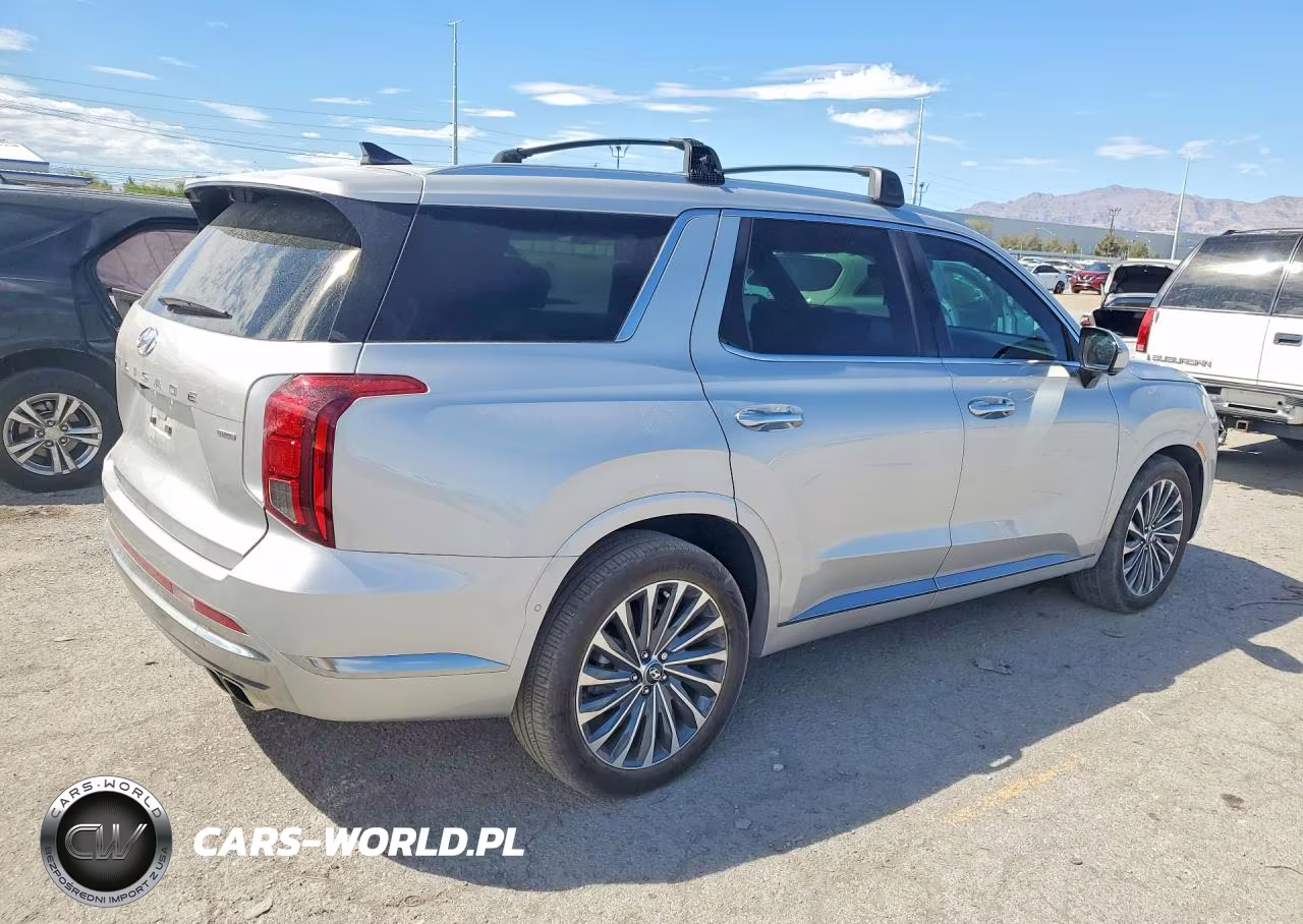 2025 Hyundai Palisade Calligraphy VIN:KM8R7DGE4SU913928 - 3