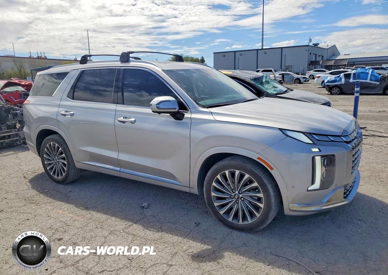 2025 Hyundai Palisade Calligraphy VIN:KM8R7DGE4SU913928 - 4