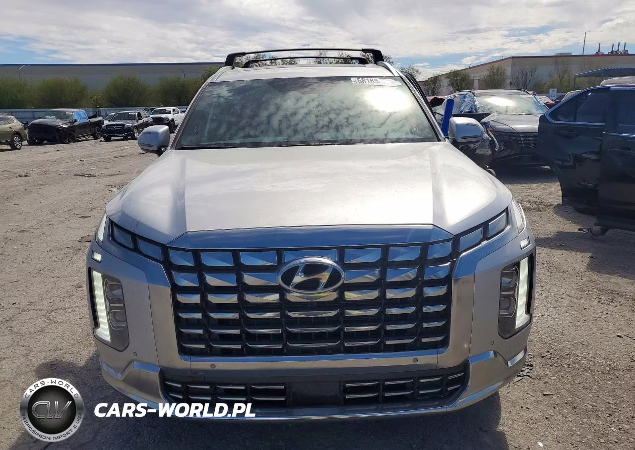 2025 Hyundai Palisade Calligraphy VIN:KM8R7DGE4SU913928 - 5