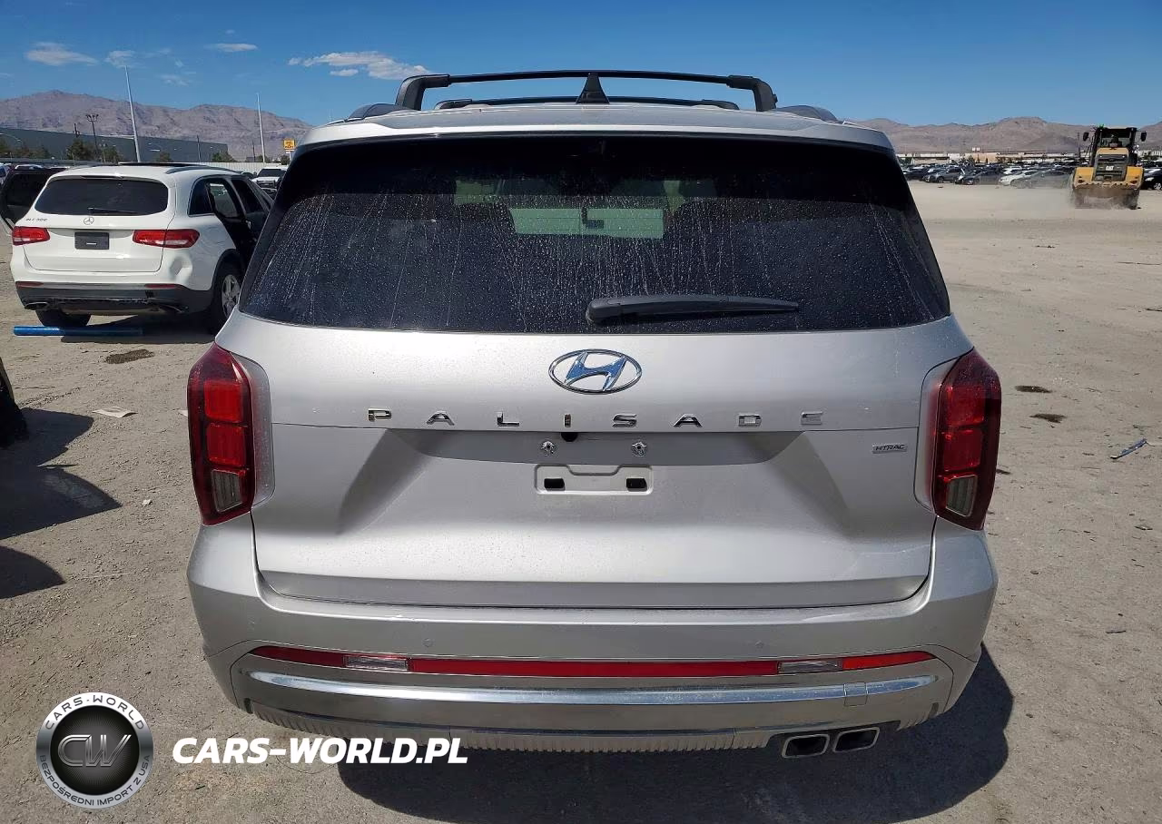 2025 Hyundai Palisade Calligraphy VIN:KM8R7DGE4SU913928 - 6
