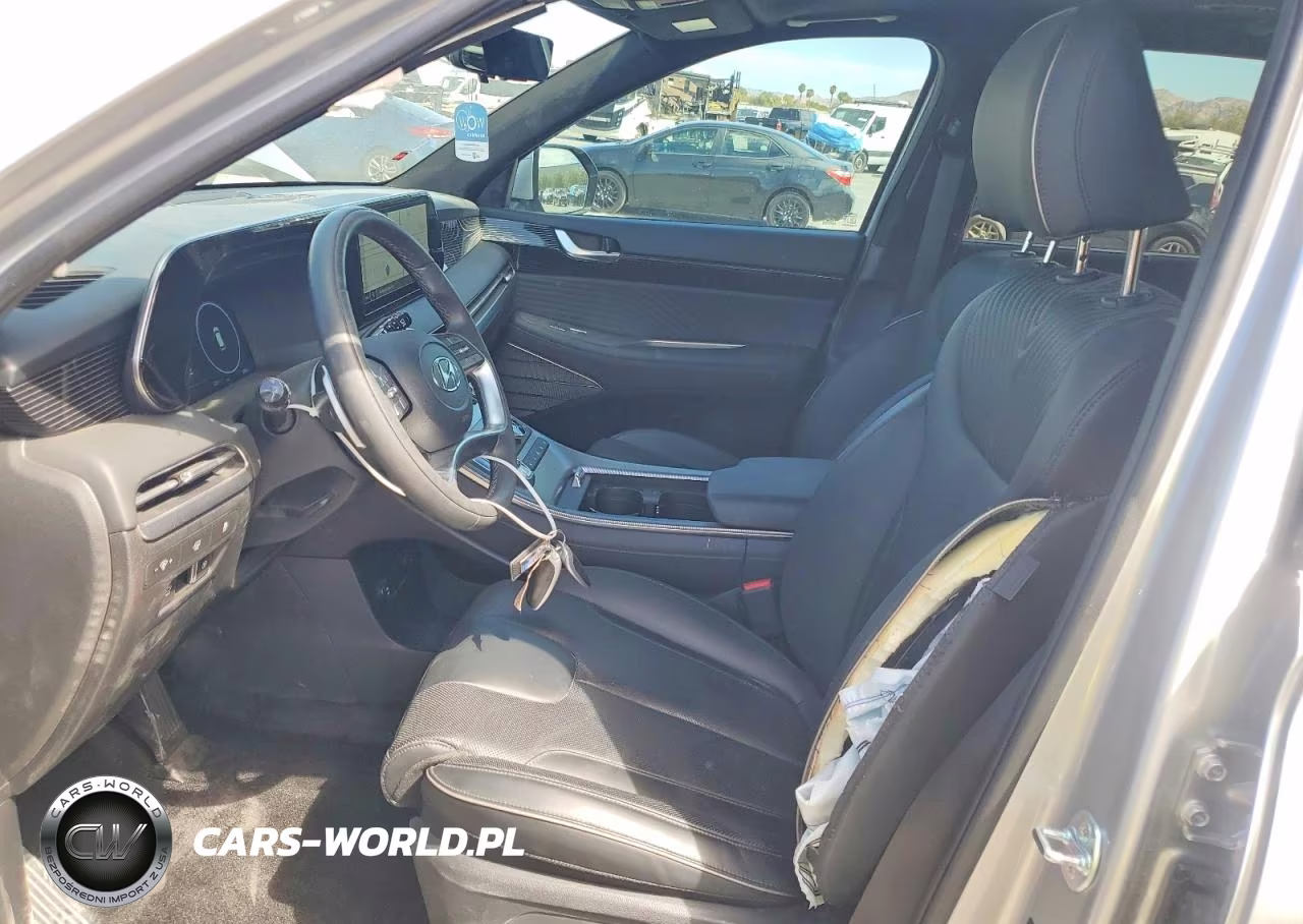 2025 Hyundai Palisade Calligraphy VIN:KM8R7DGE4SU913928 - 7