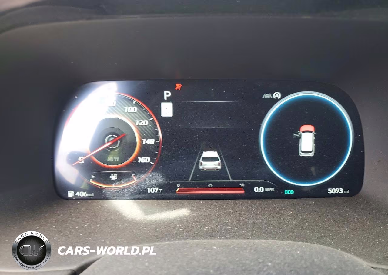 2025 Hyundai Palisade Calligraphy VIN:KM8R7DGE4SU913928 - 9
