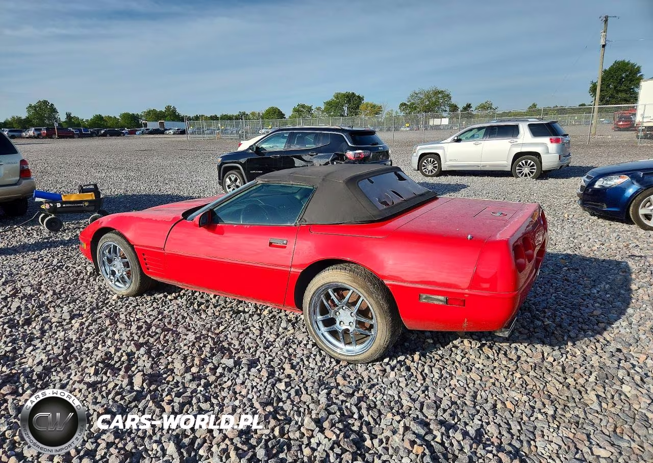 1991 Chevrolet Corvette VIN:1G1YY3382M5109608 - 2