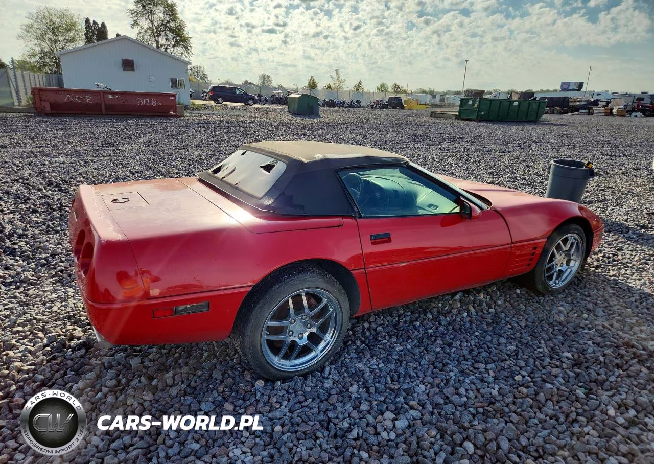 1991 Chevrolet Corvette VIN:1G1YY3382M5109608 - 3