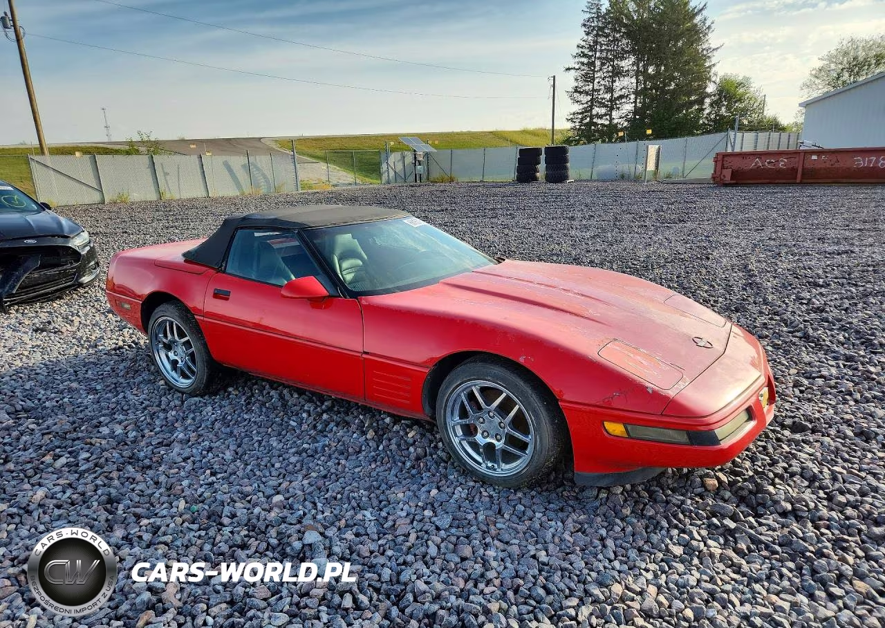 1991 Chevrolet Corvette VIN:1G1YY3382M5109608 - 4