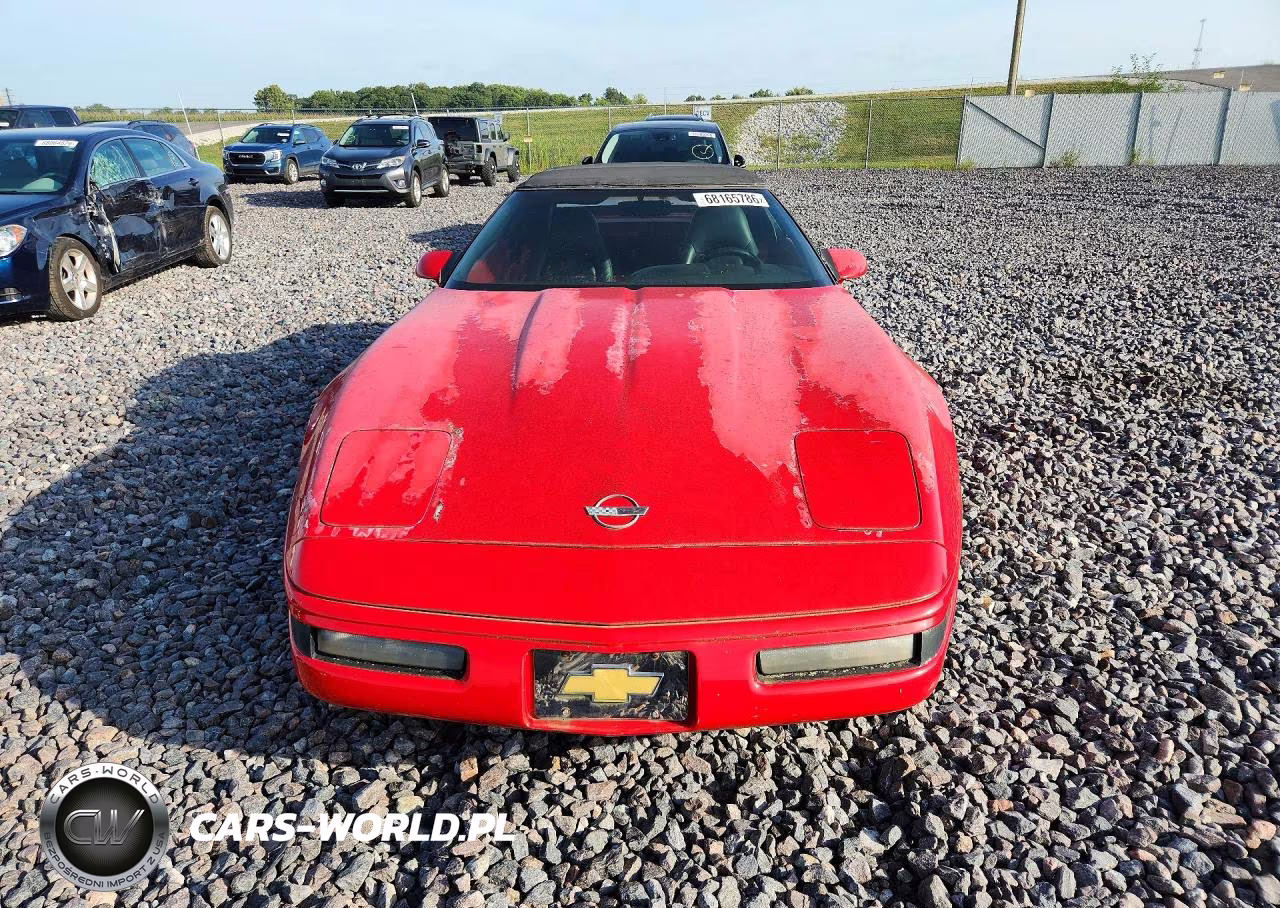 1991 Chevrolet Corvette VIN:1G1YY3382M5109608 - 5