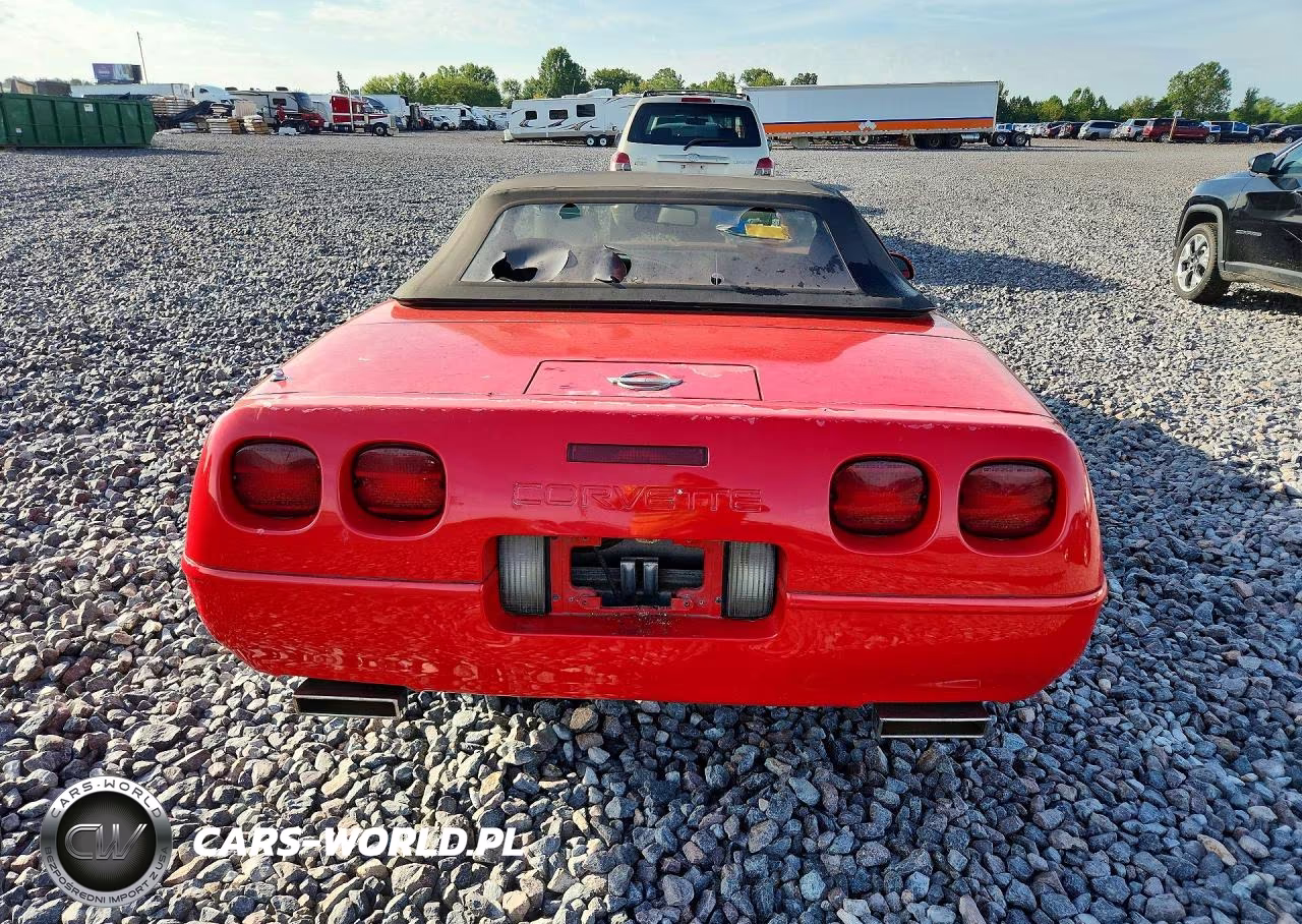 1991 Chevrolet Corvette VIN:1G1YY3382M5109608 - 6