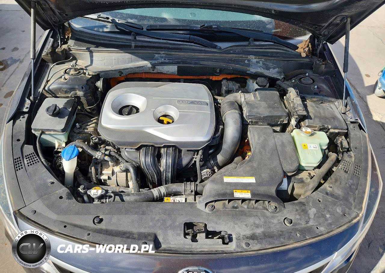 2017 Kia Optima Hybrid VIN:KNAGT4LC3H5005269 - 11