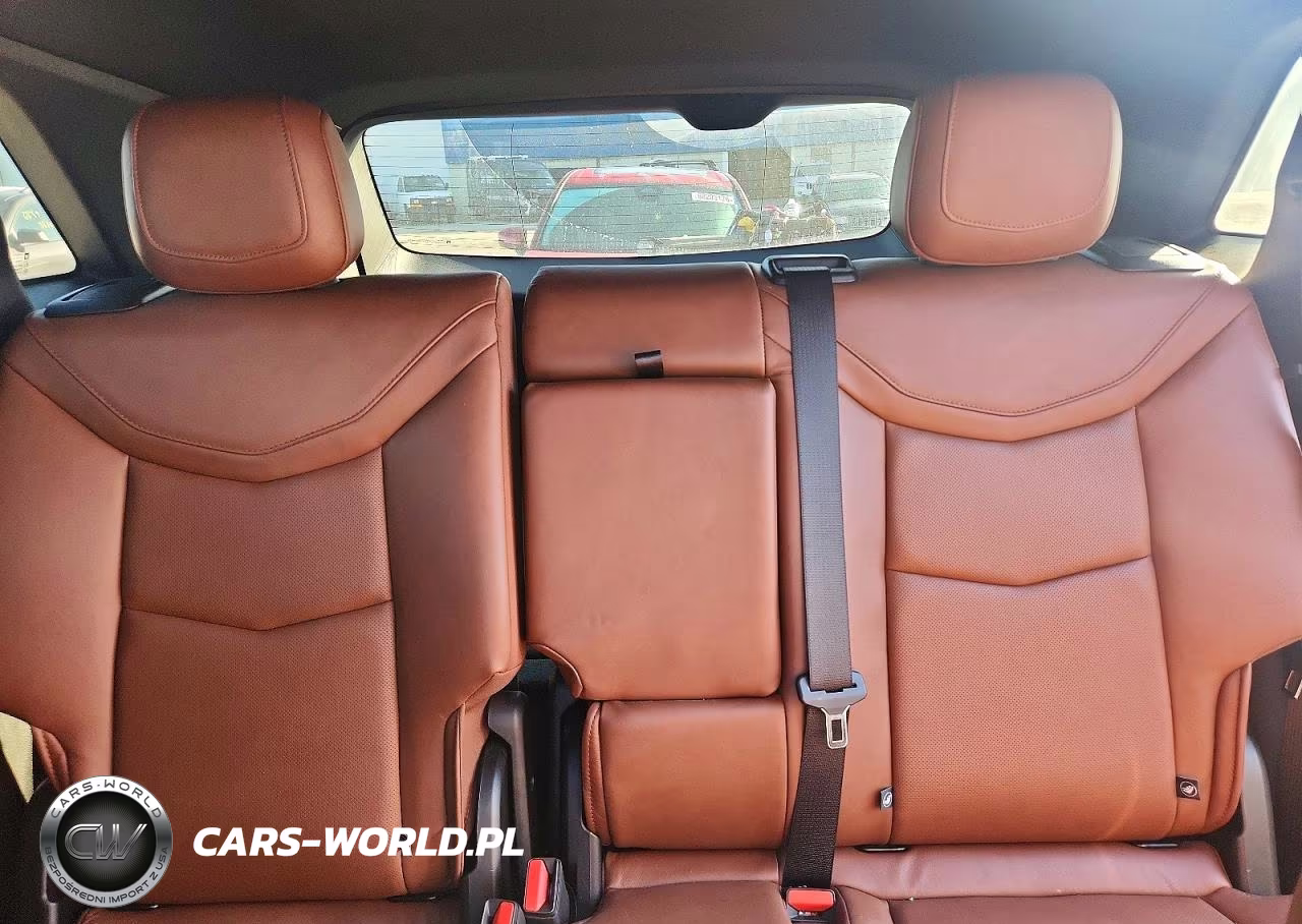 2023 Cadillac Xt5 Premium Luxury VIN:1GYKNDRS2PZ122350 - 10