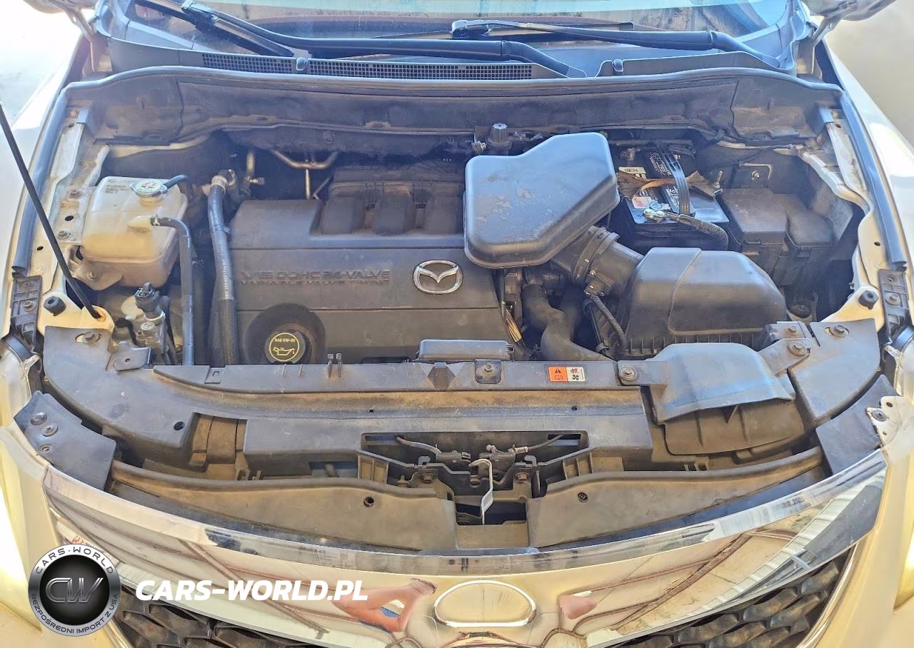 2010 Mazda Cx-9 VIN:JM3TB2MA3A0207626 - 12
