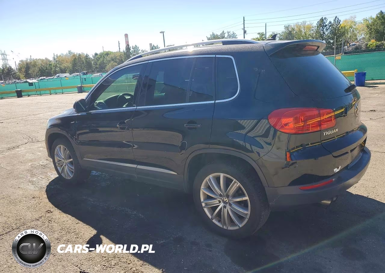2014 Volkswagen Tiguan S VIN:WVGAV3AX7EW554171 - 2