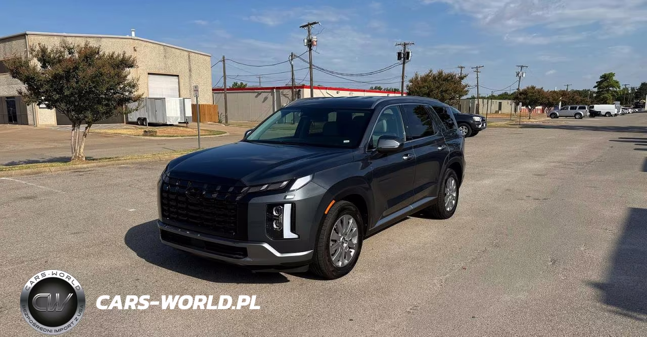 2025 Hyundai Palisade Sel VIN:KM8R24GE1SU810996 - 2