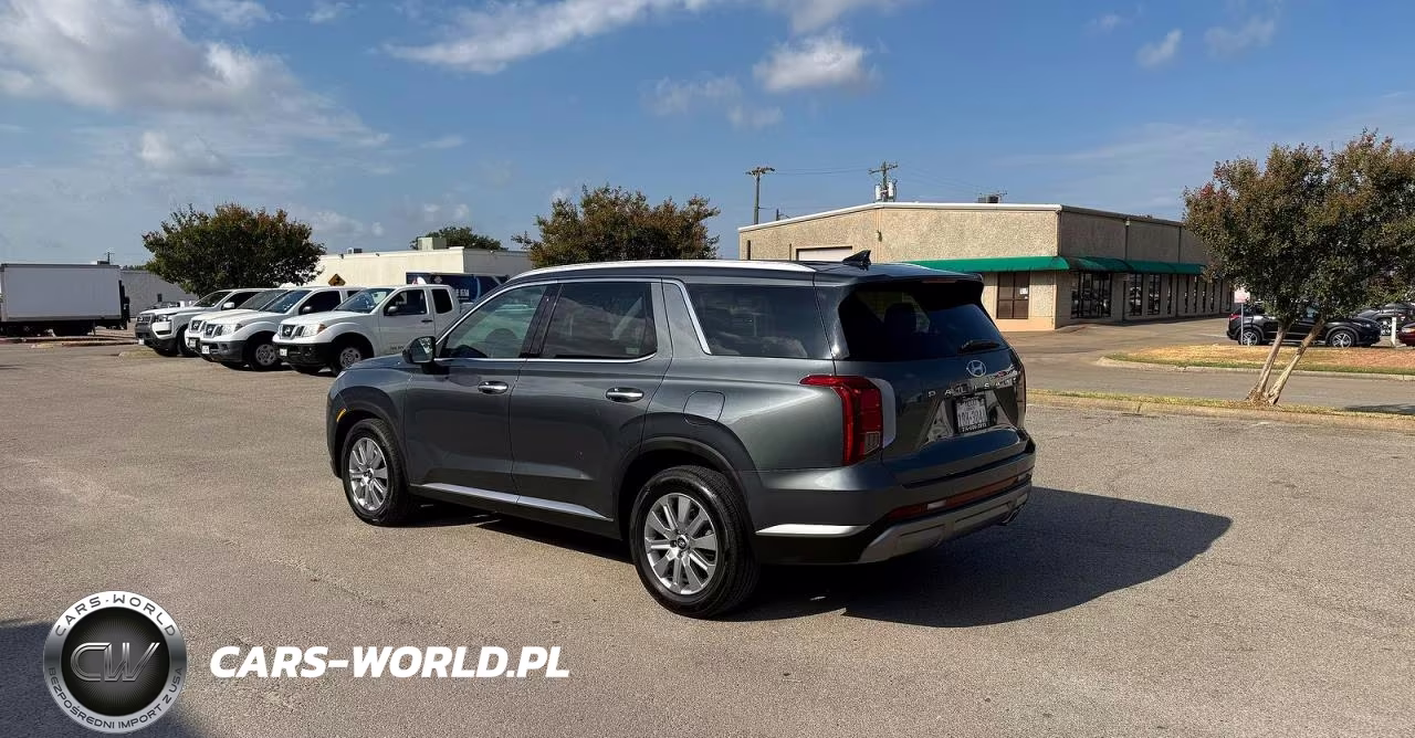 2025 Hyundai Palisade Sel VIN:KM8R24GE1SU810996 - 3