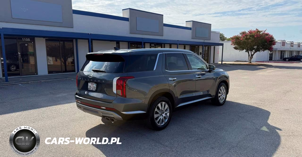 2025 Hyundai Palisade Sel VIN:KM8R24GE1SU810996 - 4