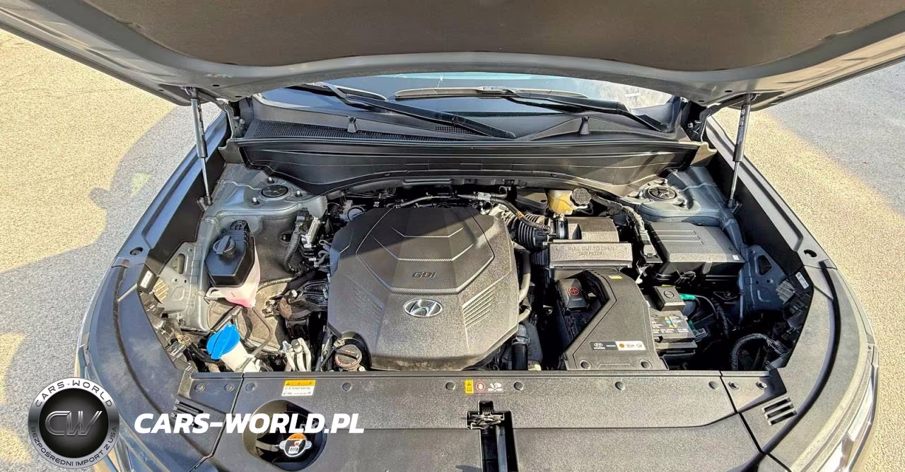 2025 Hyundai Palisade Sel VIN:KM8R24GE1SU810996 - 7