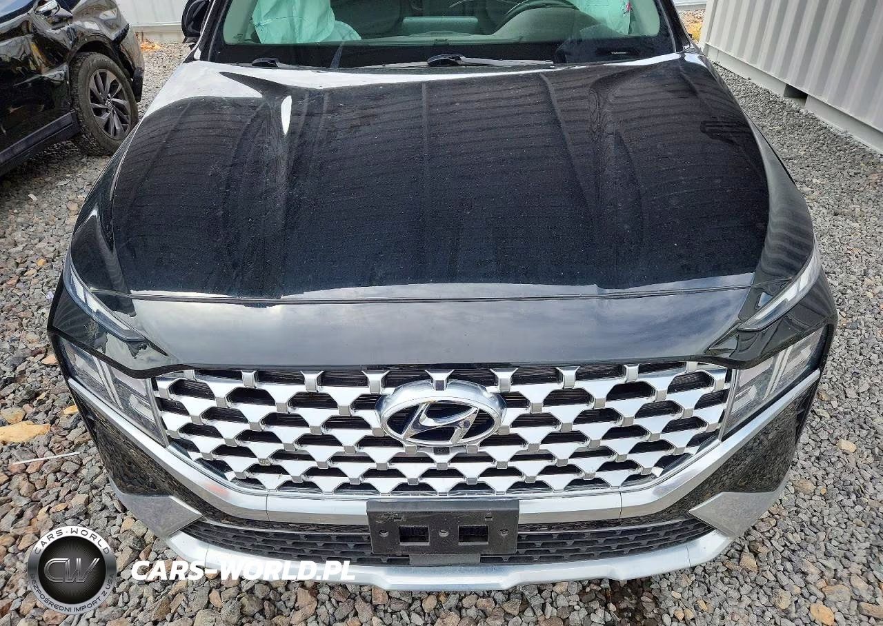 2023 Hyundai Santa Fe Sel Premium VIN:5NMS34AJ2PH626674 - 12
