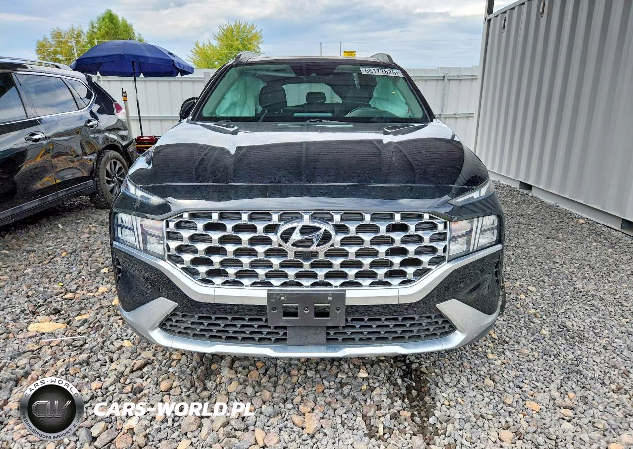 2023 Hyundai Santa Fe Sel Premium VIN:5NMS34AJ2PH626674 - 5