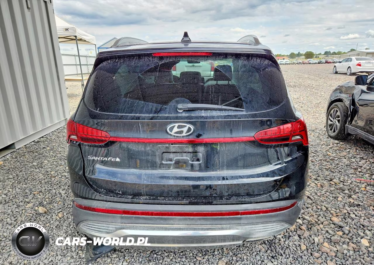 2023 Hyundai Santa Fe Sel Premium VIN:5NMS34AJ2PH626674 - 6