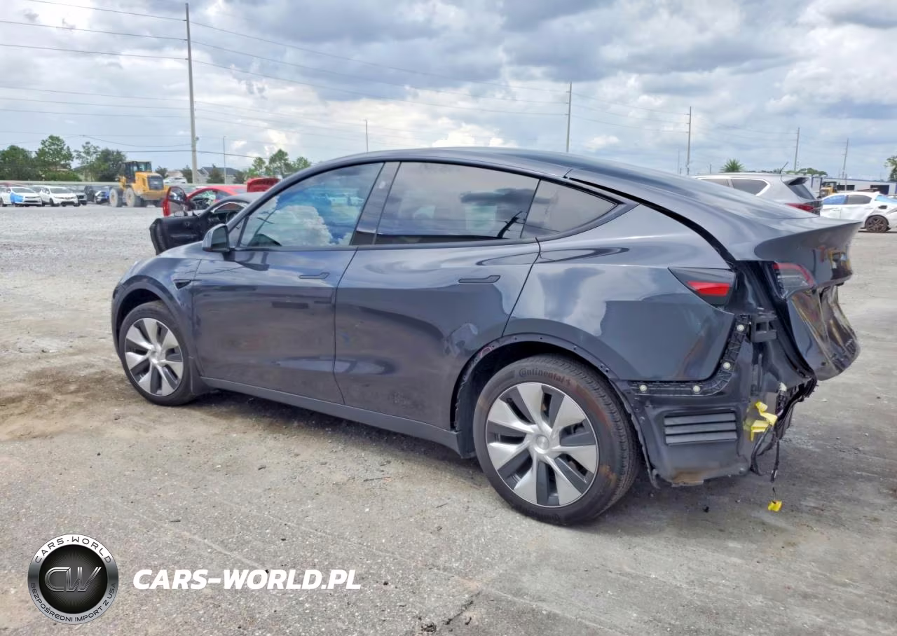 2024 Tesla Model Y VIN:7SAYGDED8RF016305 - 2