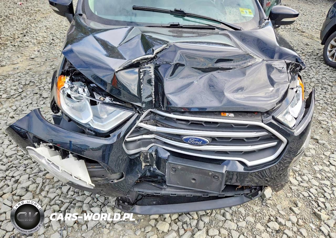 2019 Ford Ecosport Se VIN:MAJ6S3GLXKC266834 - 11