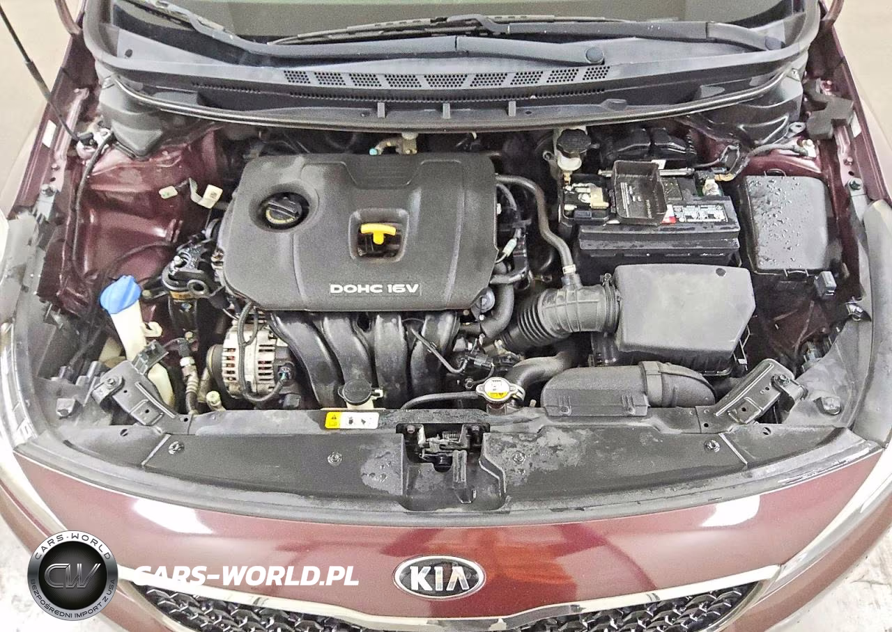 2017 Kia Forte Lx VIN:3KPFK4A72HE051705 - 11