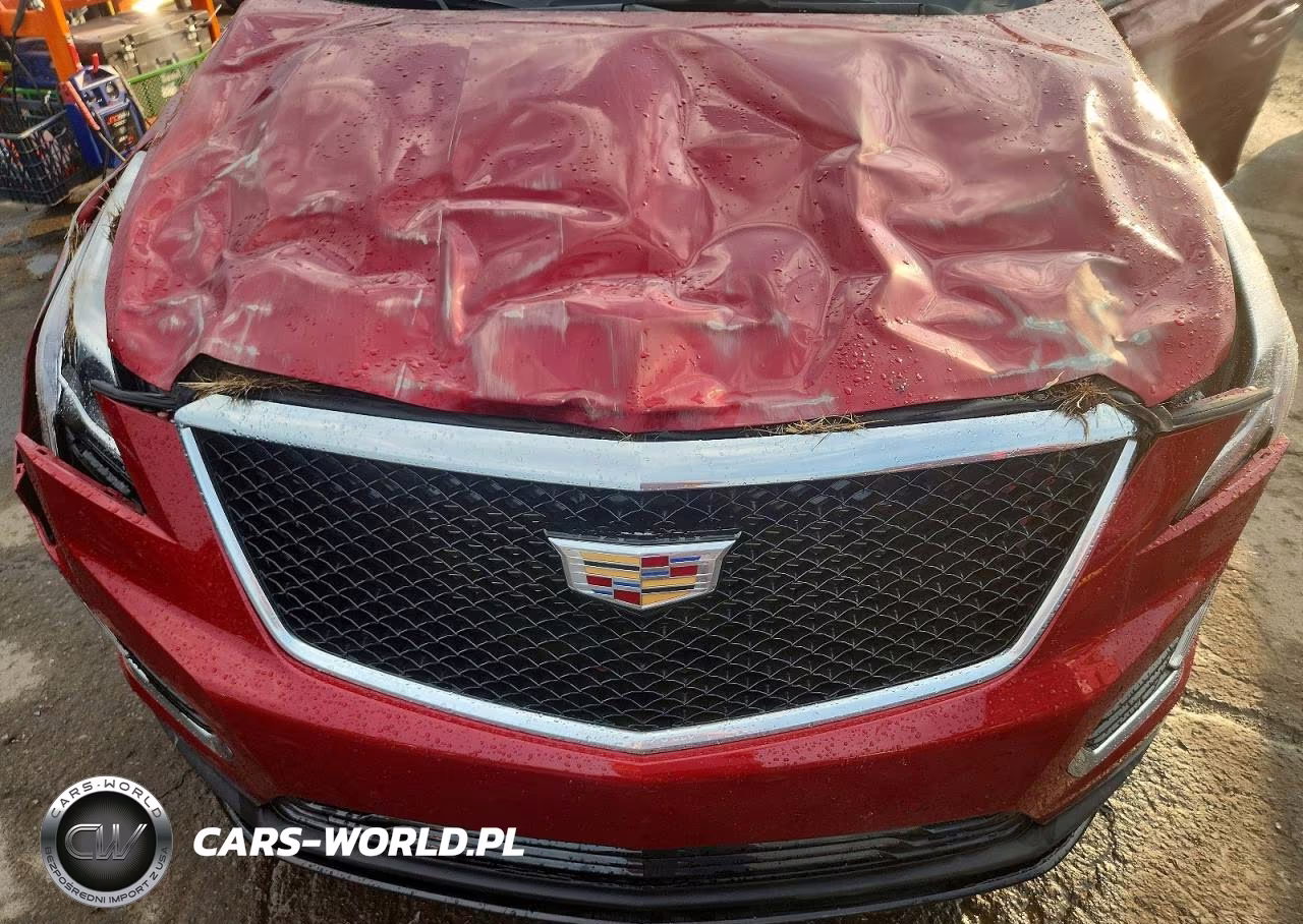 2024 Cadillac Xt5 Sport VIN:1GYKNGRS7RZ707672 - 12