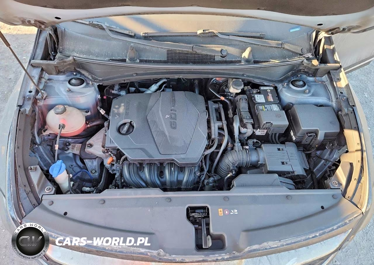 2023 Kia Sportage Ex VIN:5XYK33AF2PG128961 - 12