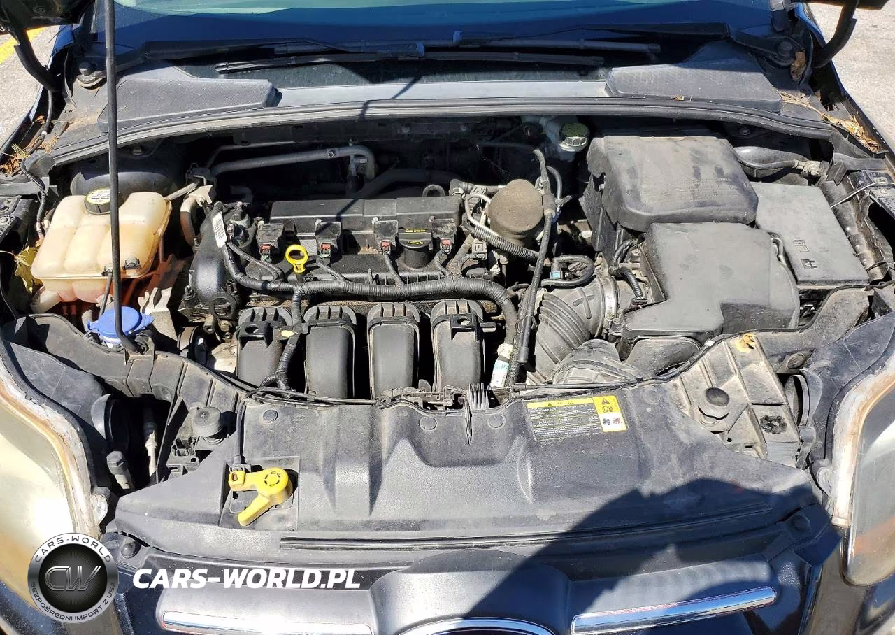2013 Ford Focus Se VIN:1FADP3K2XDL195385 - 11