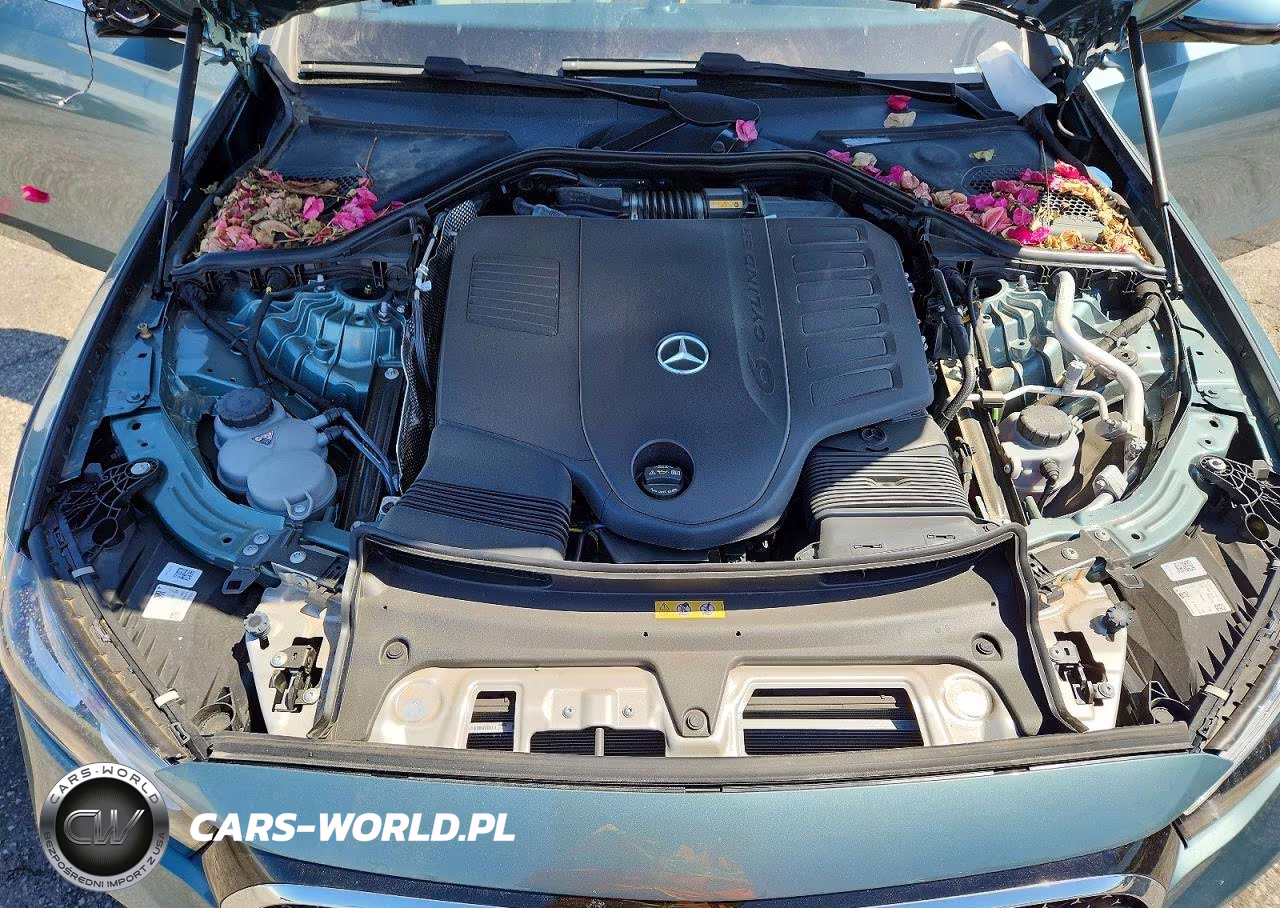 2024 Mercedes-Benz E 450 4M All Terrain VIN:W1KLH6FB5RA053100 - 12