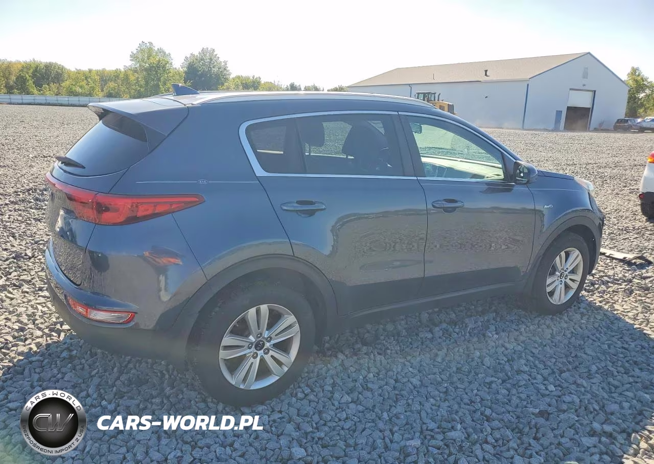 2017 Kia Sportage Lx VIN:KNDPMCAC1H7111379 - 3