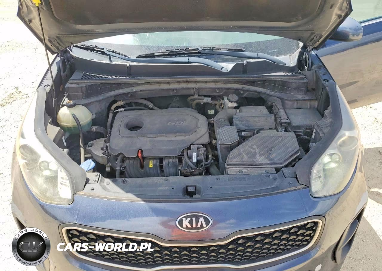 2018 Kia Sportage Lx VIN:KNDPM3AC8J7474381 - 12