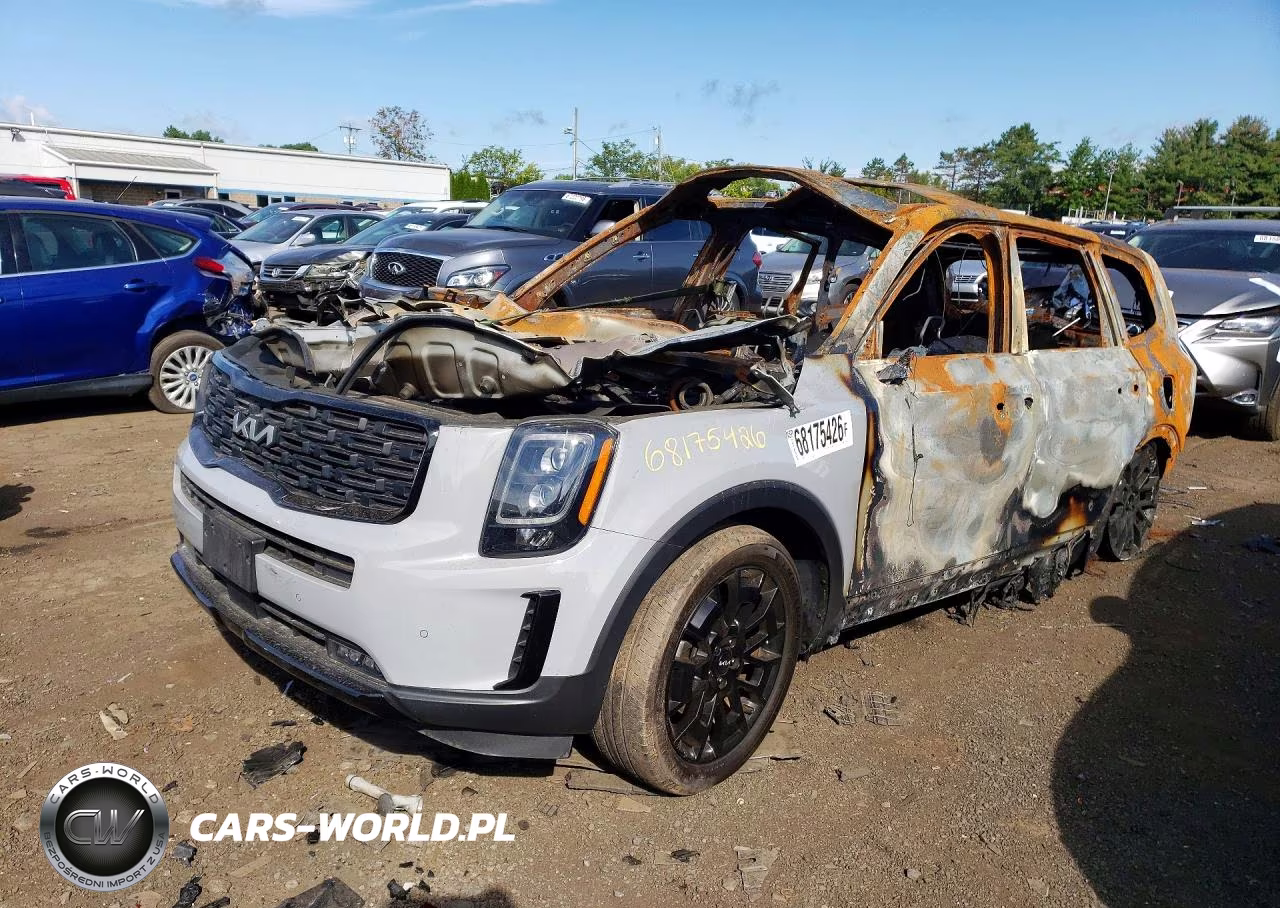 2022 Kia Telluride Sx VIN:5XYP5DHC8NG272447 - 1