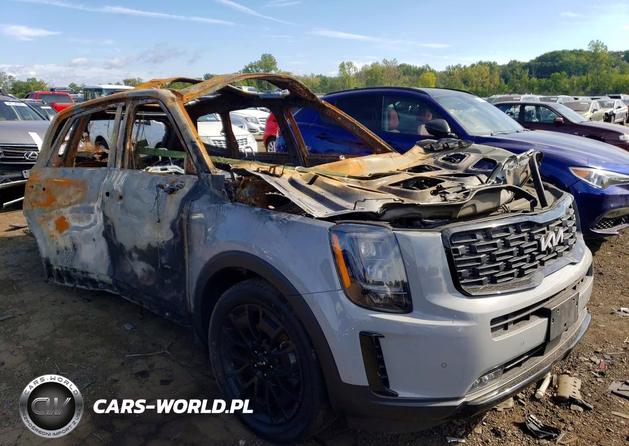 2022 Kia Telluride Sx VIN:5XYP5DHC8NG272447 - 4